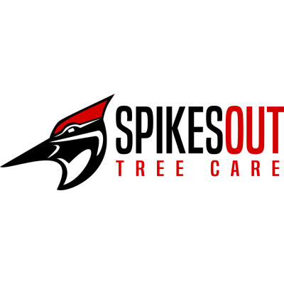 Spikes-Out Tree Care, LLC | Arboriculture/Tree Care