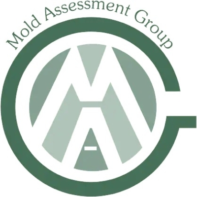 Mold Assessment Group  | Home Inspection