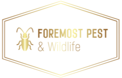 Foremost Pest and Wildlife