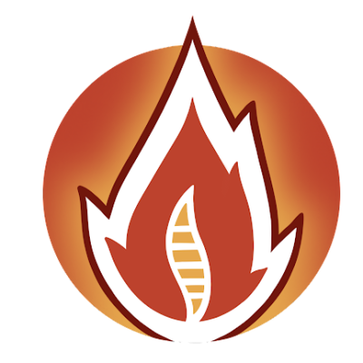 Carnelian Chiropractic